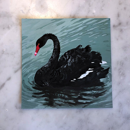 'Black Swan' in Gouache