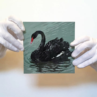 'Black Swan' in Gouache